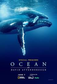<span class="title">デービッド・アッテンボロー 海の呼び声/Ocean with David Attenborough(2025)</span>