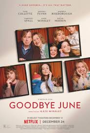 <span class="title">グッバイ、ジューン　幸せな人生の終い方/Goodbye June(2025)</span>