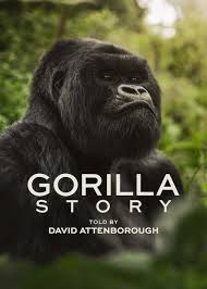 <span class="title">デヴィッド・アッテンボロー　ゴリラが紡ぐ物語/A Gorilla Story: Told by David Attenborough(2026)</span>