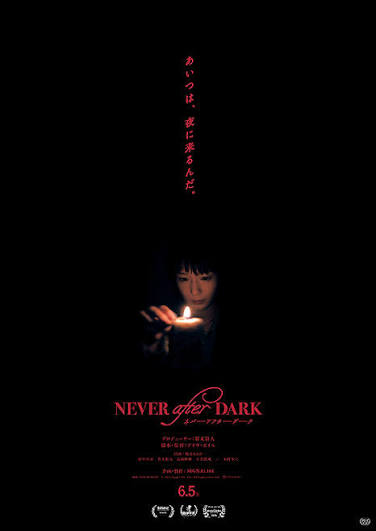 <span class="title">ネバーアフターダーク/Never After Dark(2026)</span>